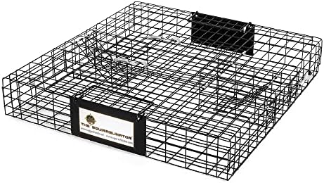 2025 Rugged Ranch Squirrelinator 2 Door Small Metal Wire Multi-Catch Live Animal Squirrel Catch  Release Cage Trap for Pest Control  Black
