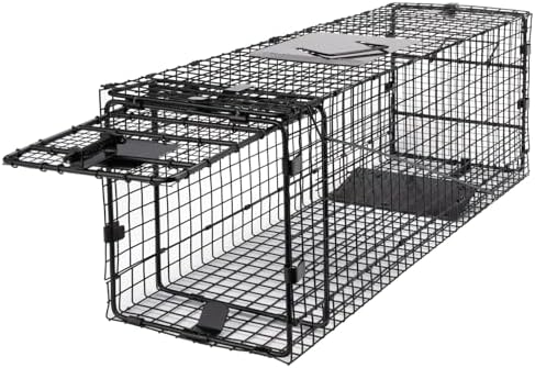 2025 Humane Way Folding 32 Inch Live Humane Animal Trap – Safe Traps for All Animals – Raccoons  Cats  Groundhogs  Opossums – 32′′x10′′x12′′ Black