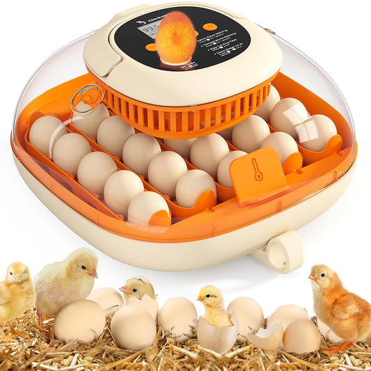 Chickcozy Automatic 25 Egg Incubator for Hatching Chicks(Default Title)