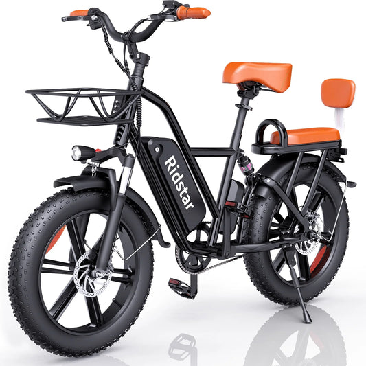 Electric Bike for Adults,750W 30-70Miles 48V 15AH Removable Battery Ebike 20" x 4.0 Fat Tire Beach Commuting E-Bike 2 Seater W/Fork Suspension UL2849